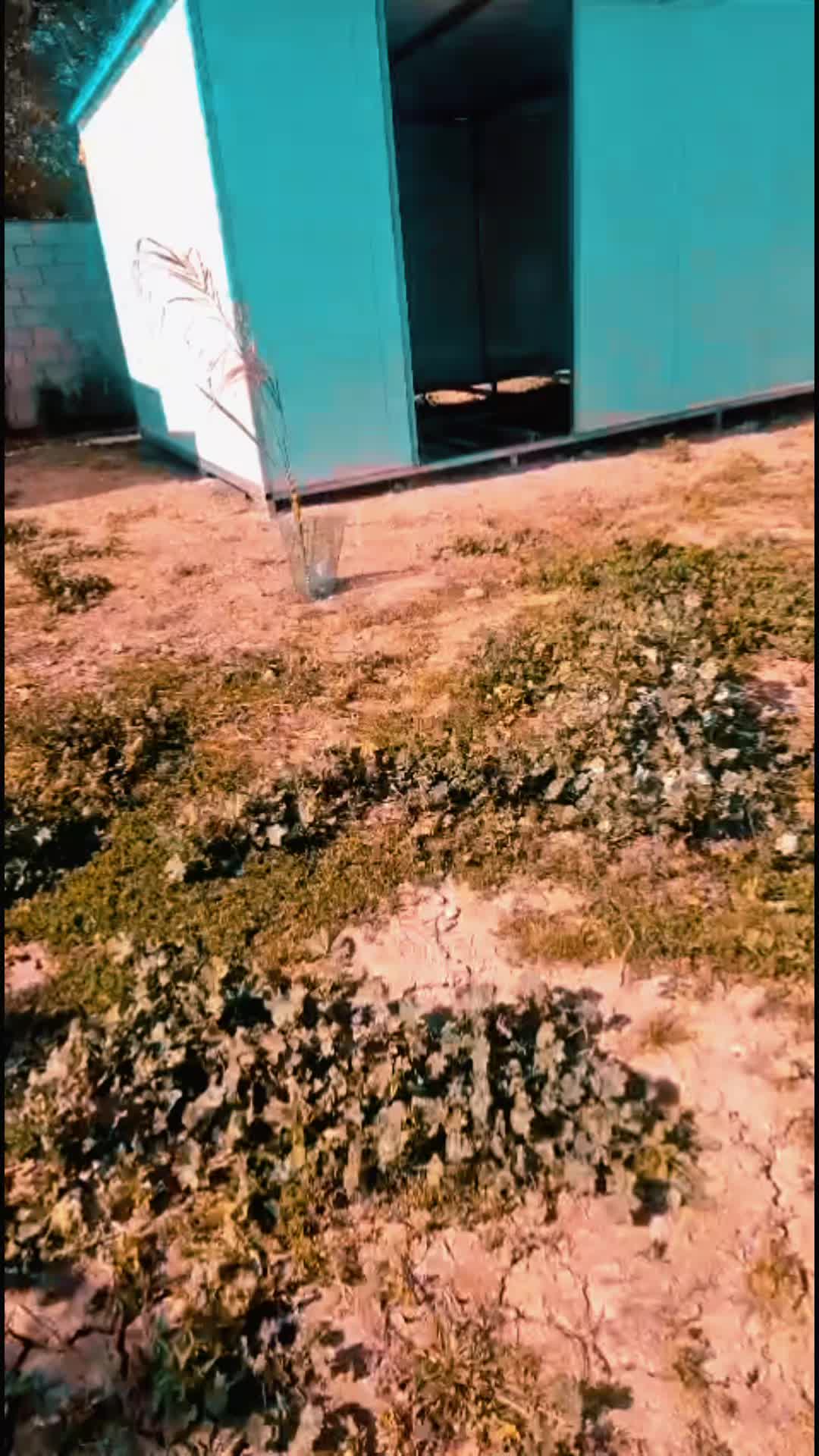 @jcanoaincogas