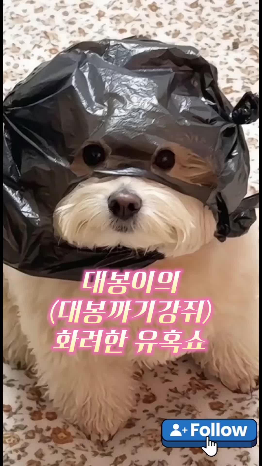 @탑스토어
