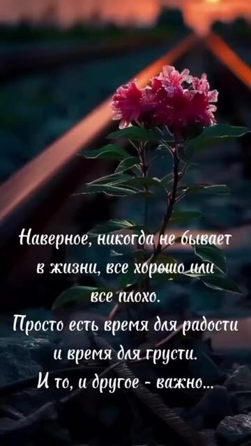 @💫SAGDI 💫