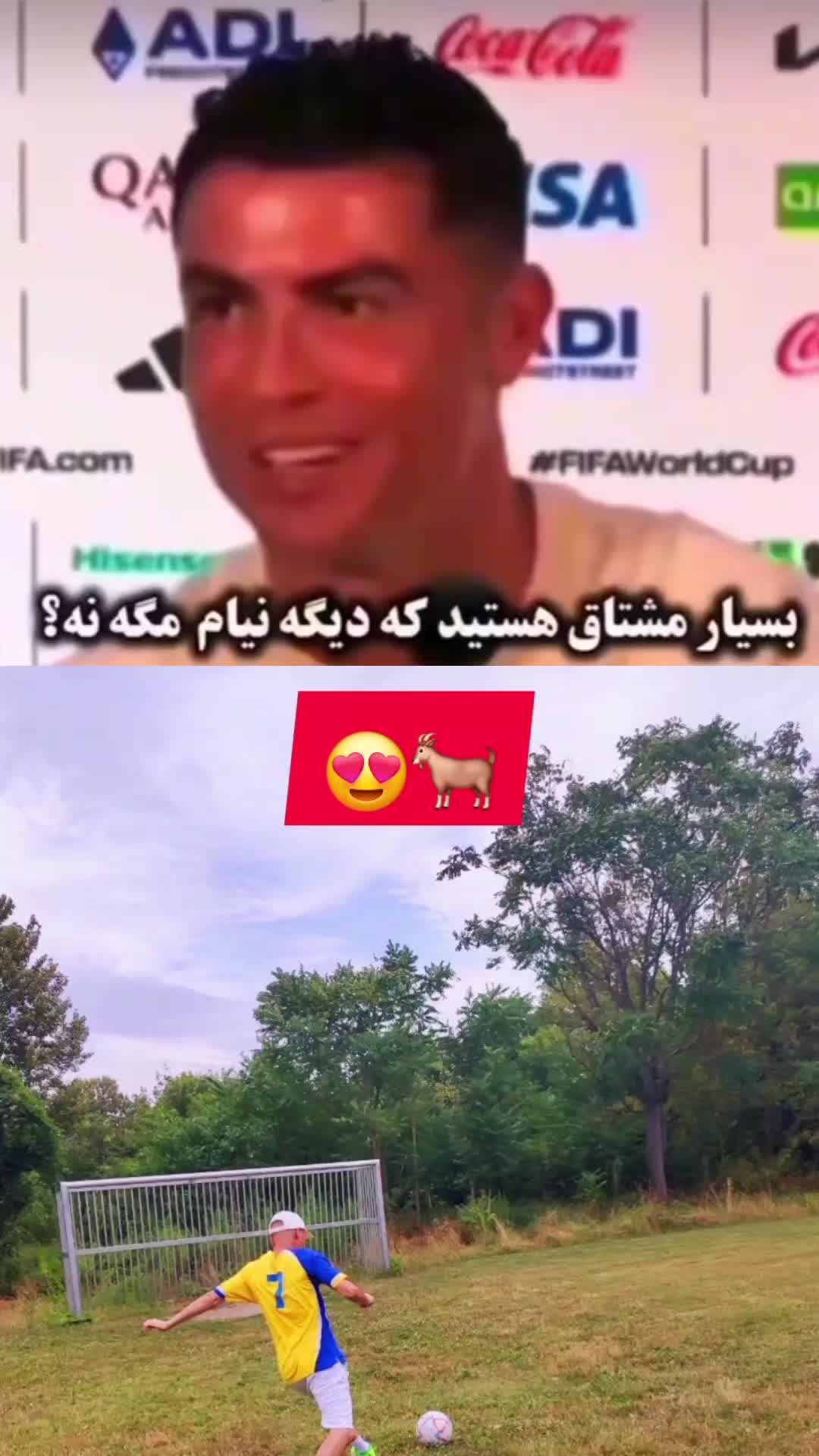 @Mohammad  Safari