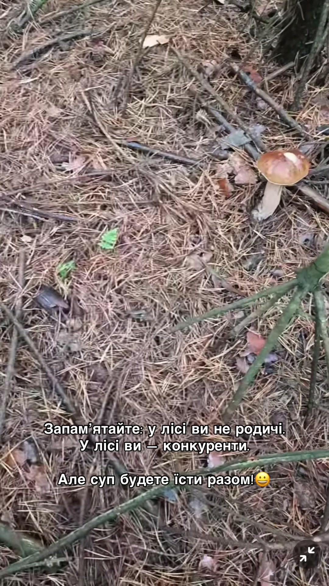 @Volynblog | Луцьк | Ковель