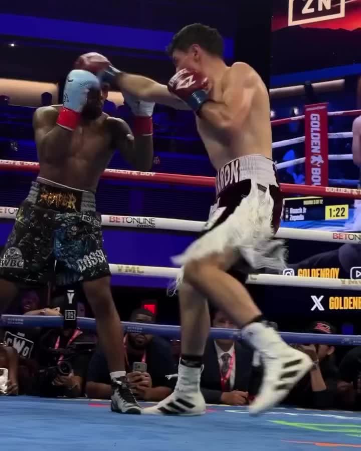 @GenuineFakeBoxing