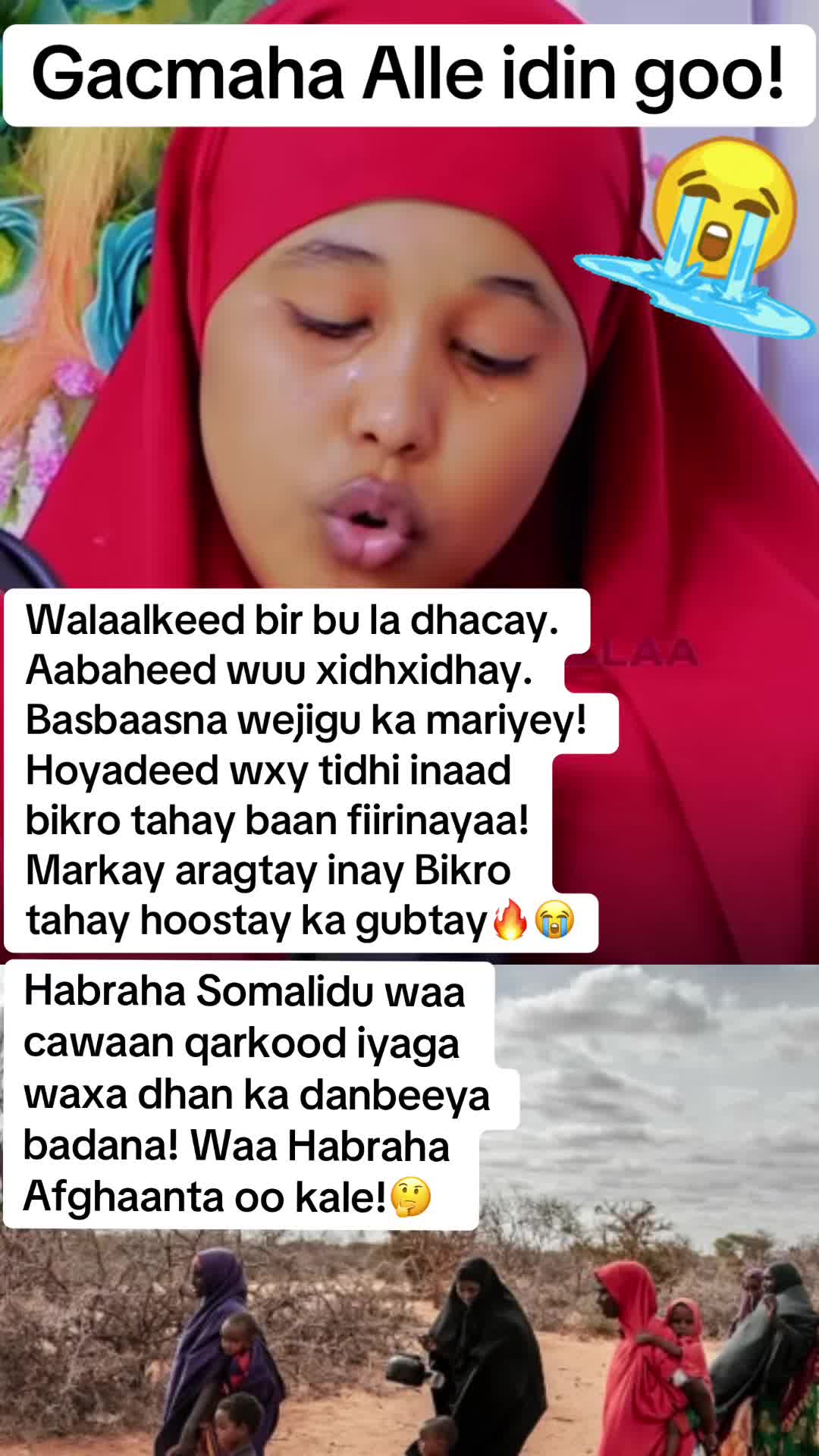 @Aaliyah Warsame 🇦🇺🦜