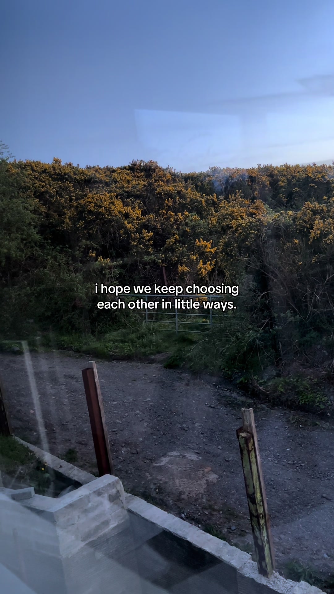 @MoOD.Words