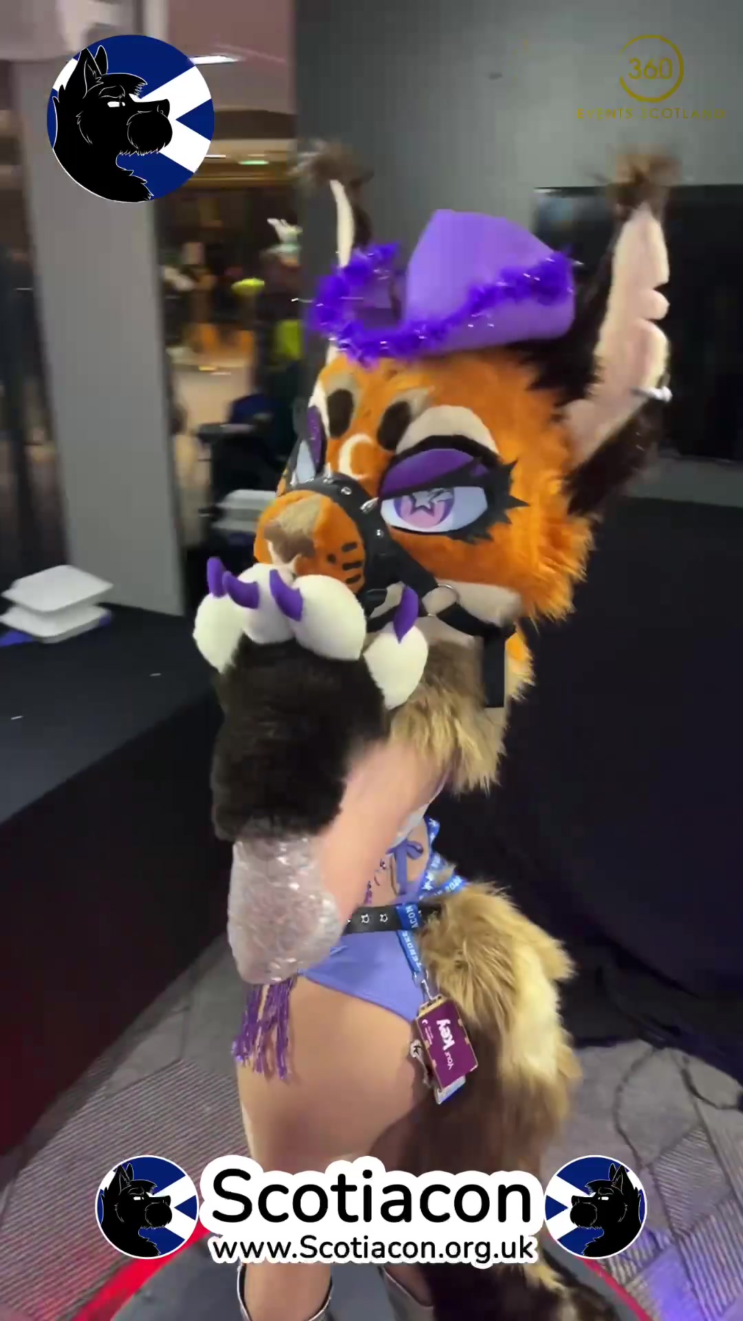 @💜Venus Kitty💜
