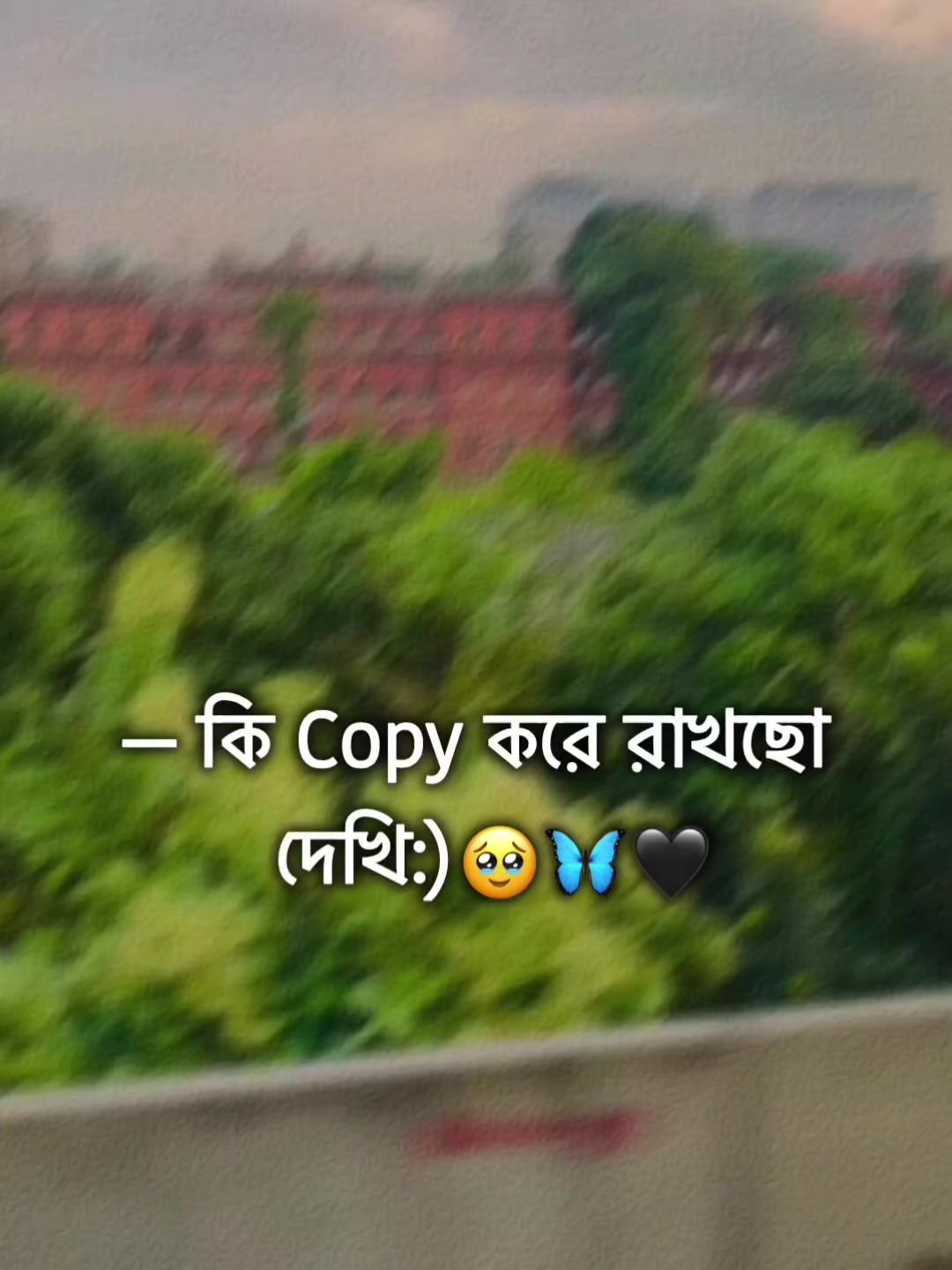@🌚🐸>জাতির_বউ'মা<🐸🌚