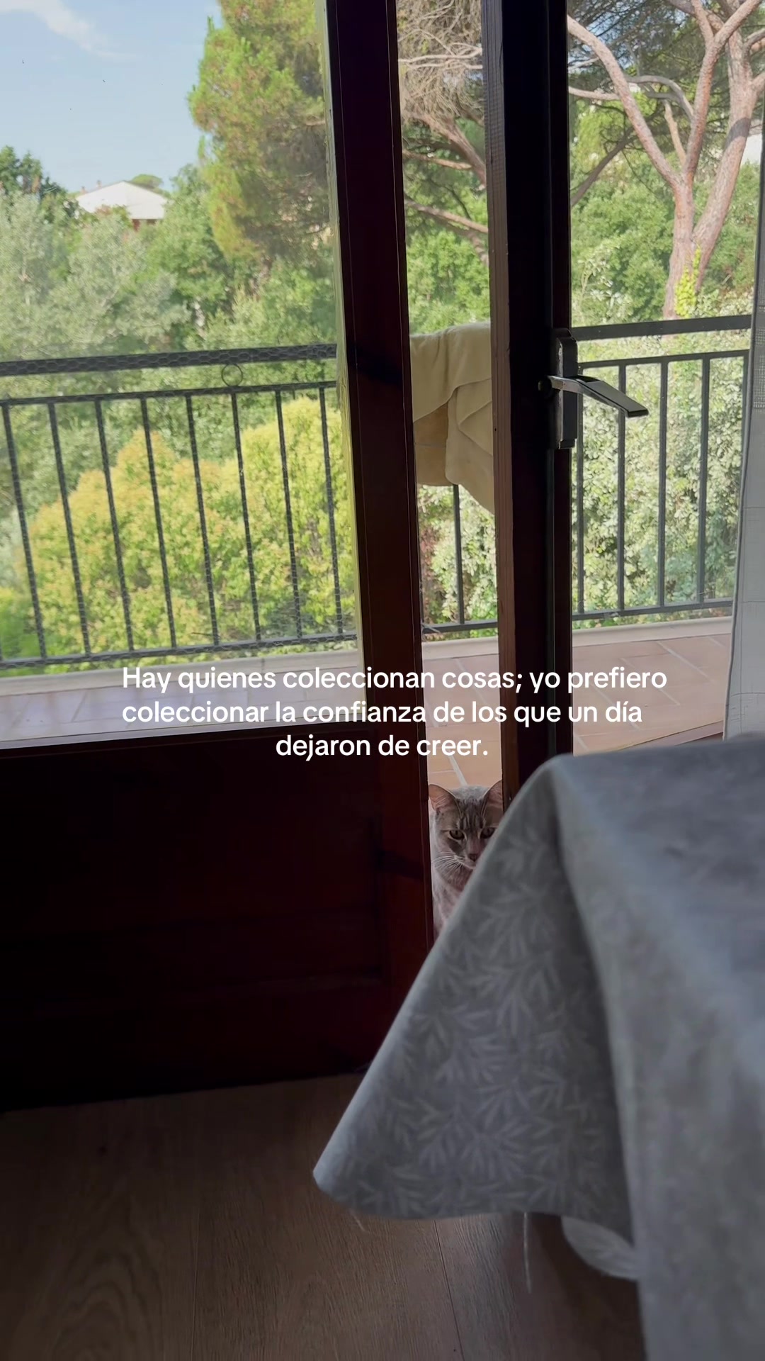 @_jijiyxs