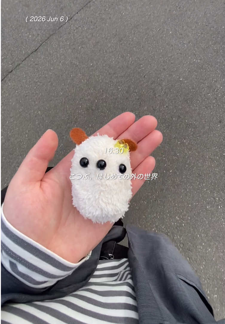 @inu