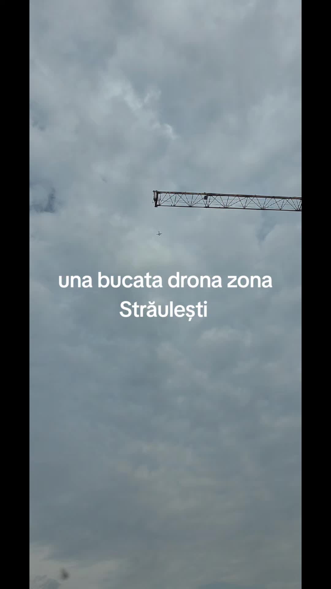 @sendo 81
