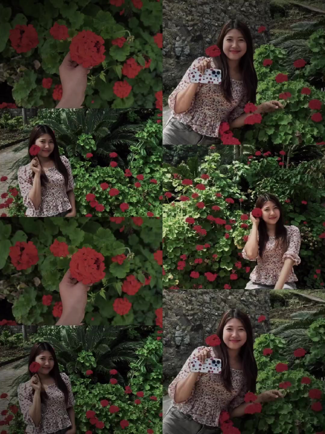 @小橘 🍊