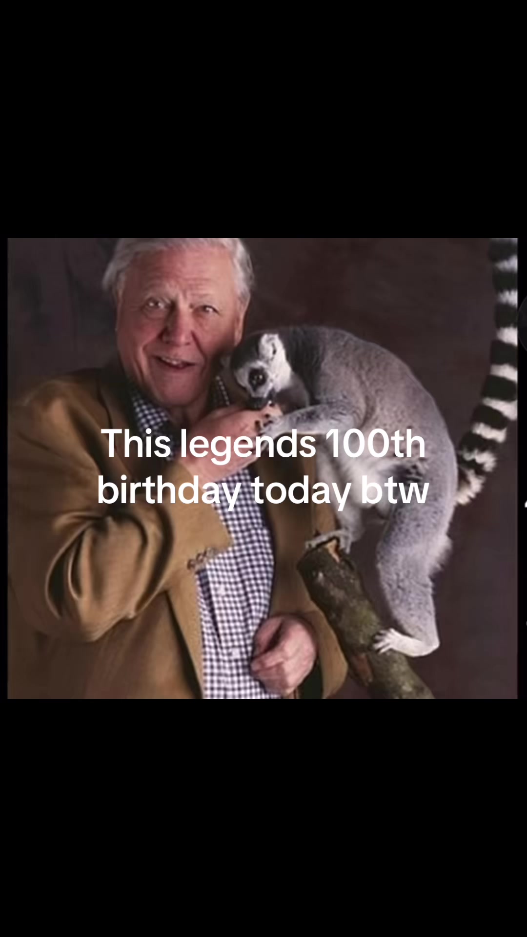 @🪵