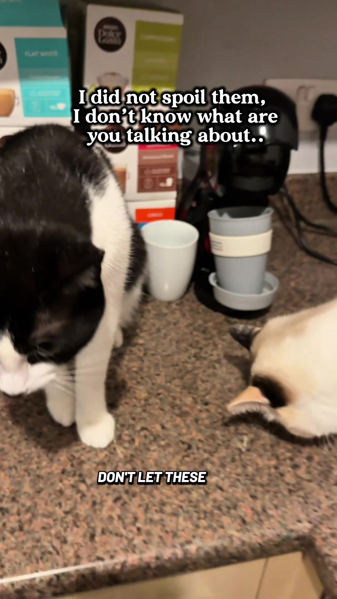 @slavic_cat_mum