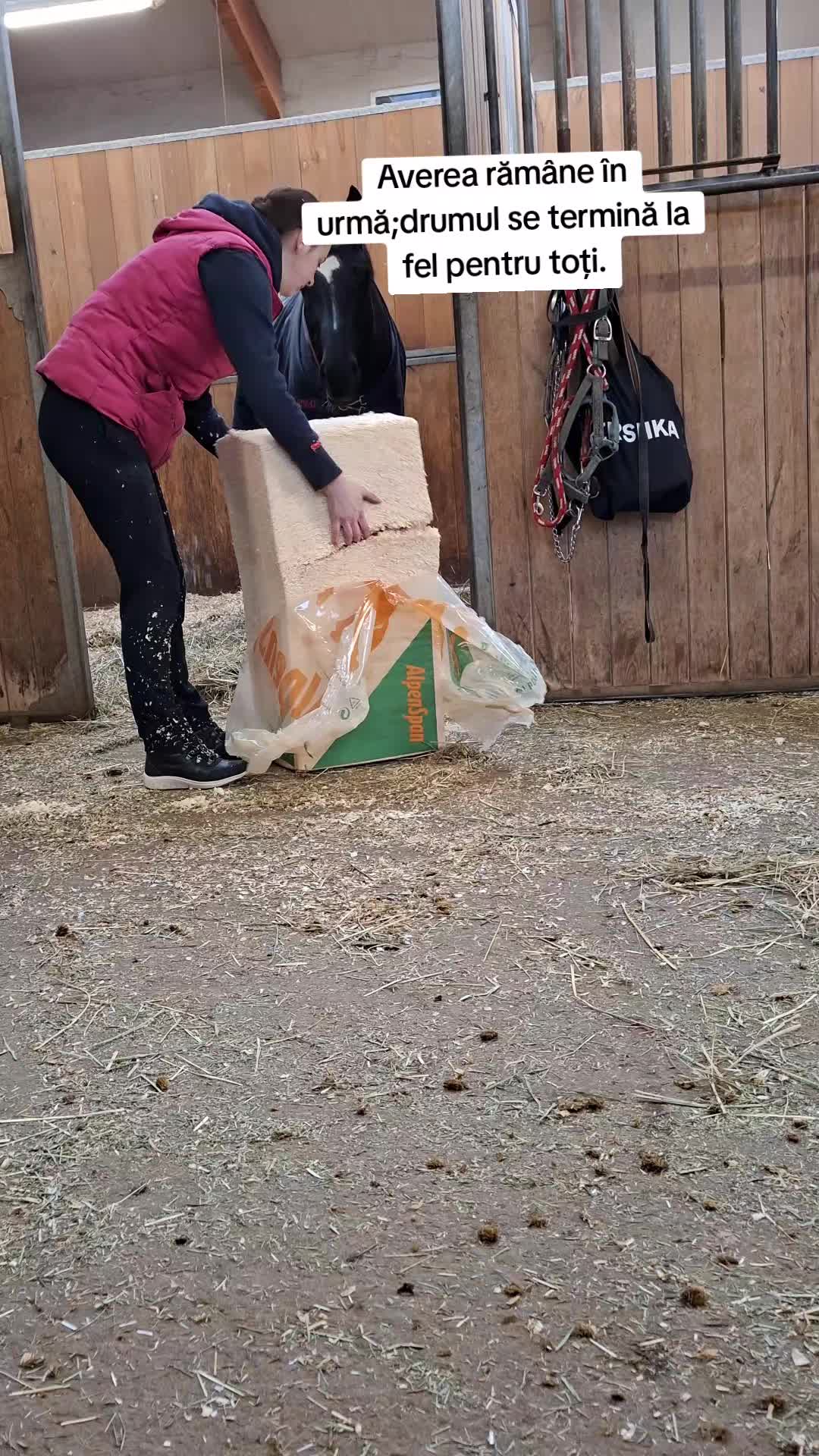 @Mada Madalina