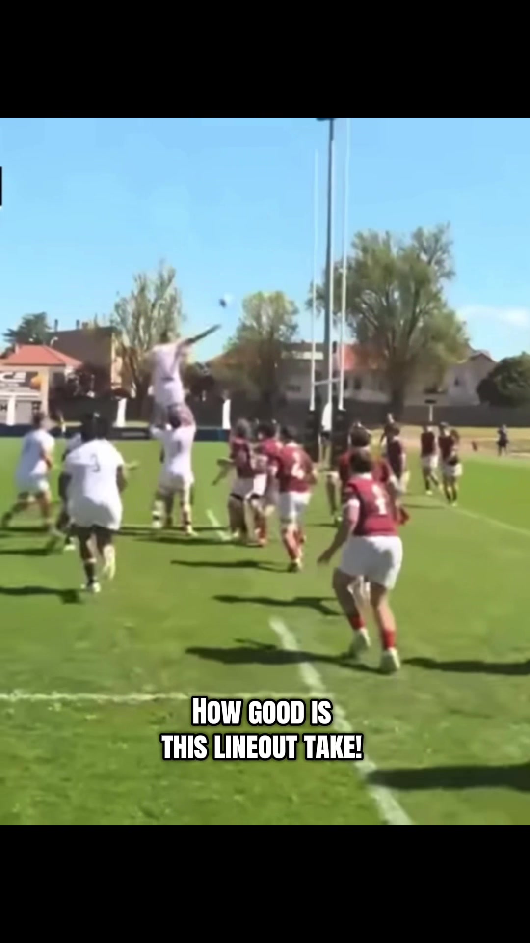 @young_rugby
