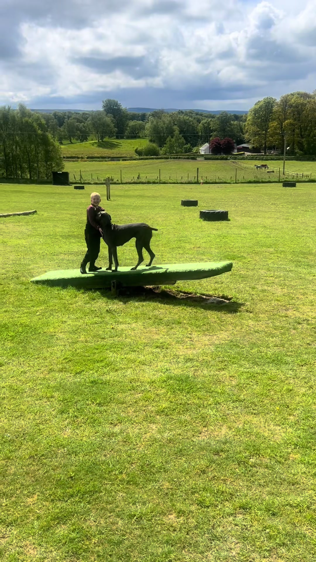 @Chateaudain Great Danes