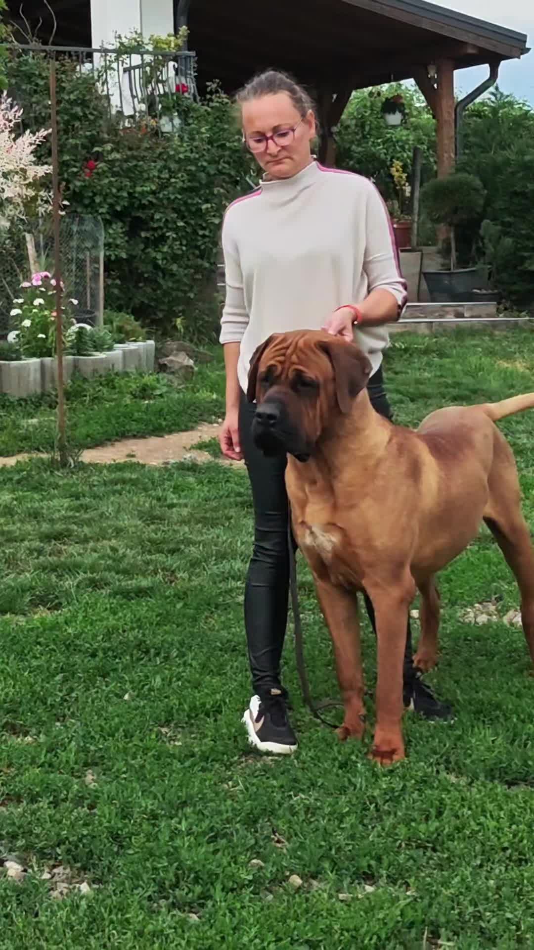@Spirit of Asia Kennel