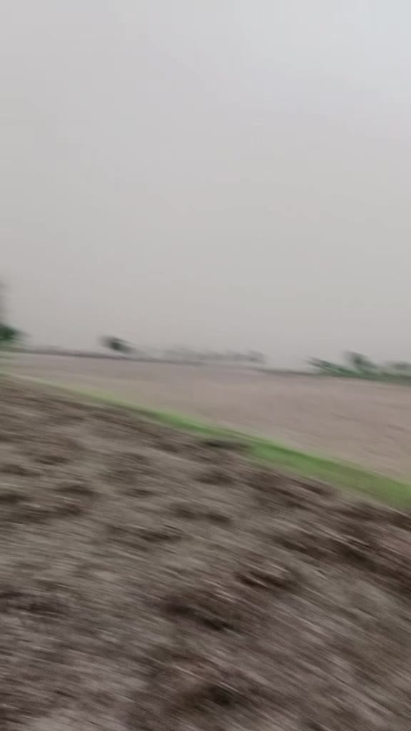 @Rauf Panwar
