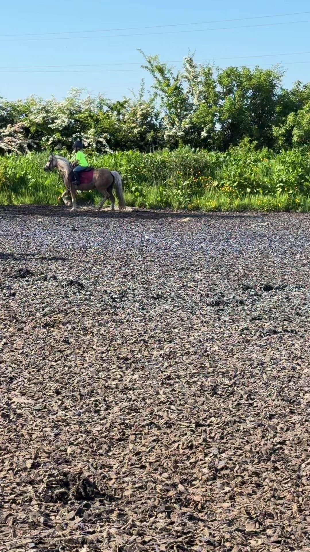 @RDHillEquestrian