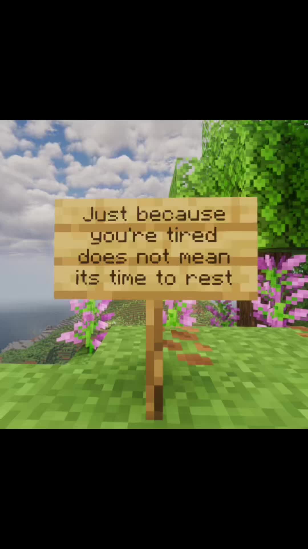 @Seraphic