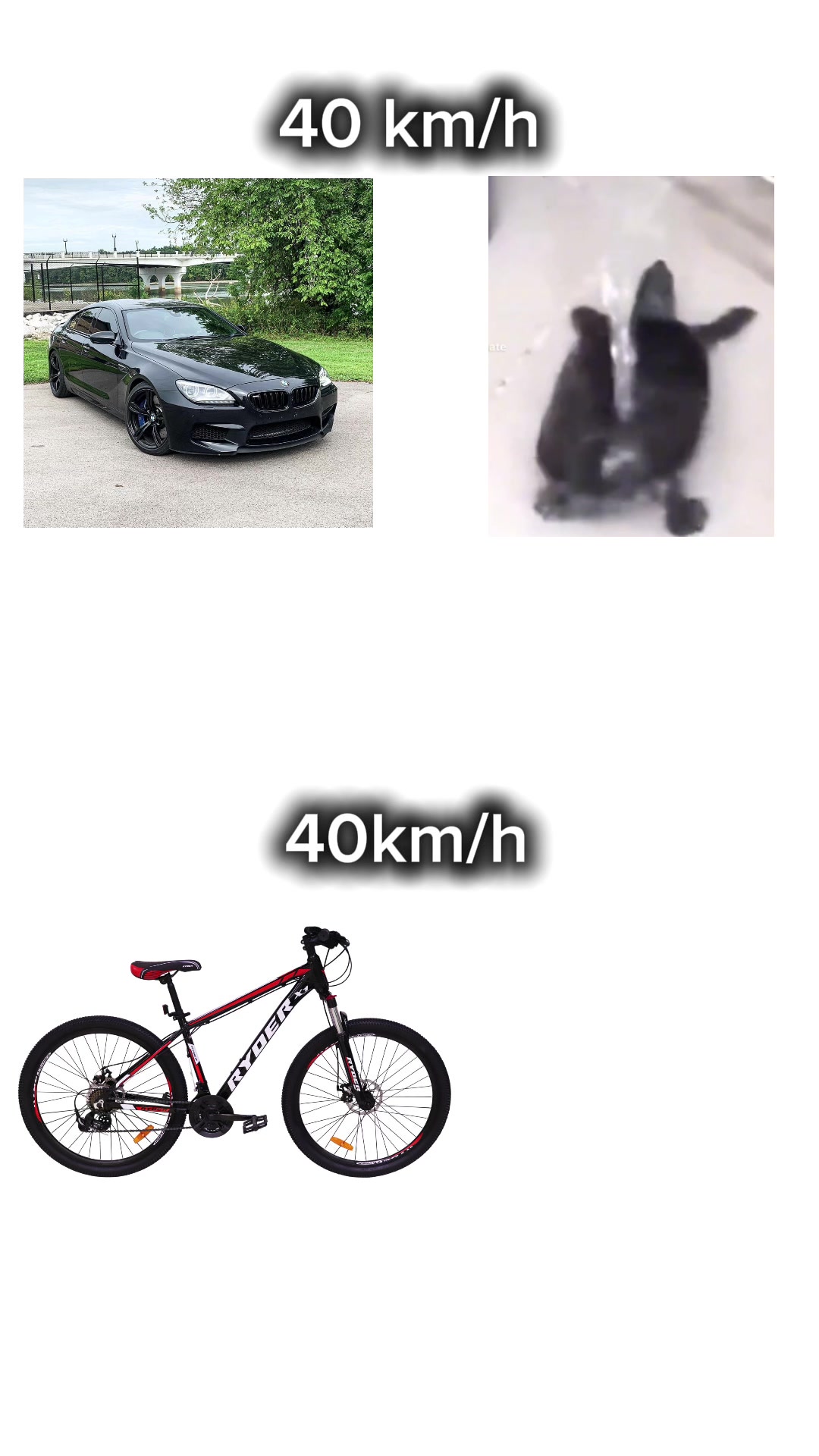 @CARS HYPE