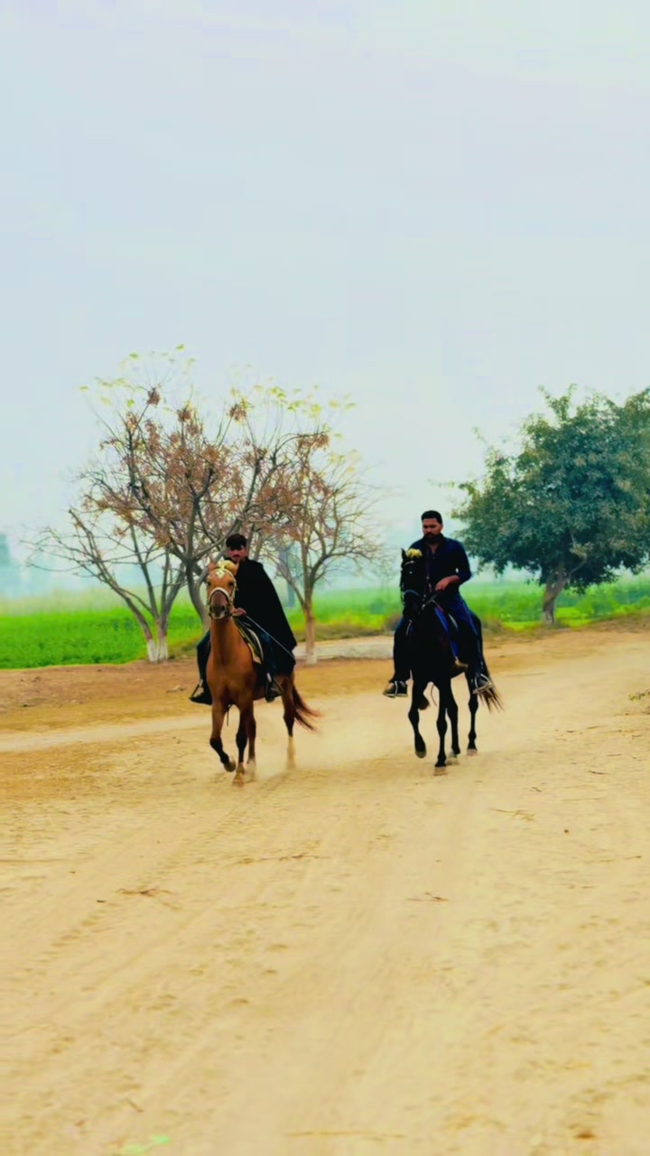 @مہر عبدالرحمن ڈاہر⚜️