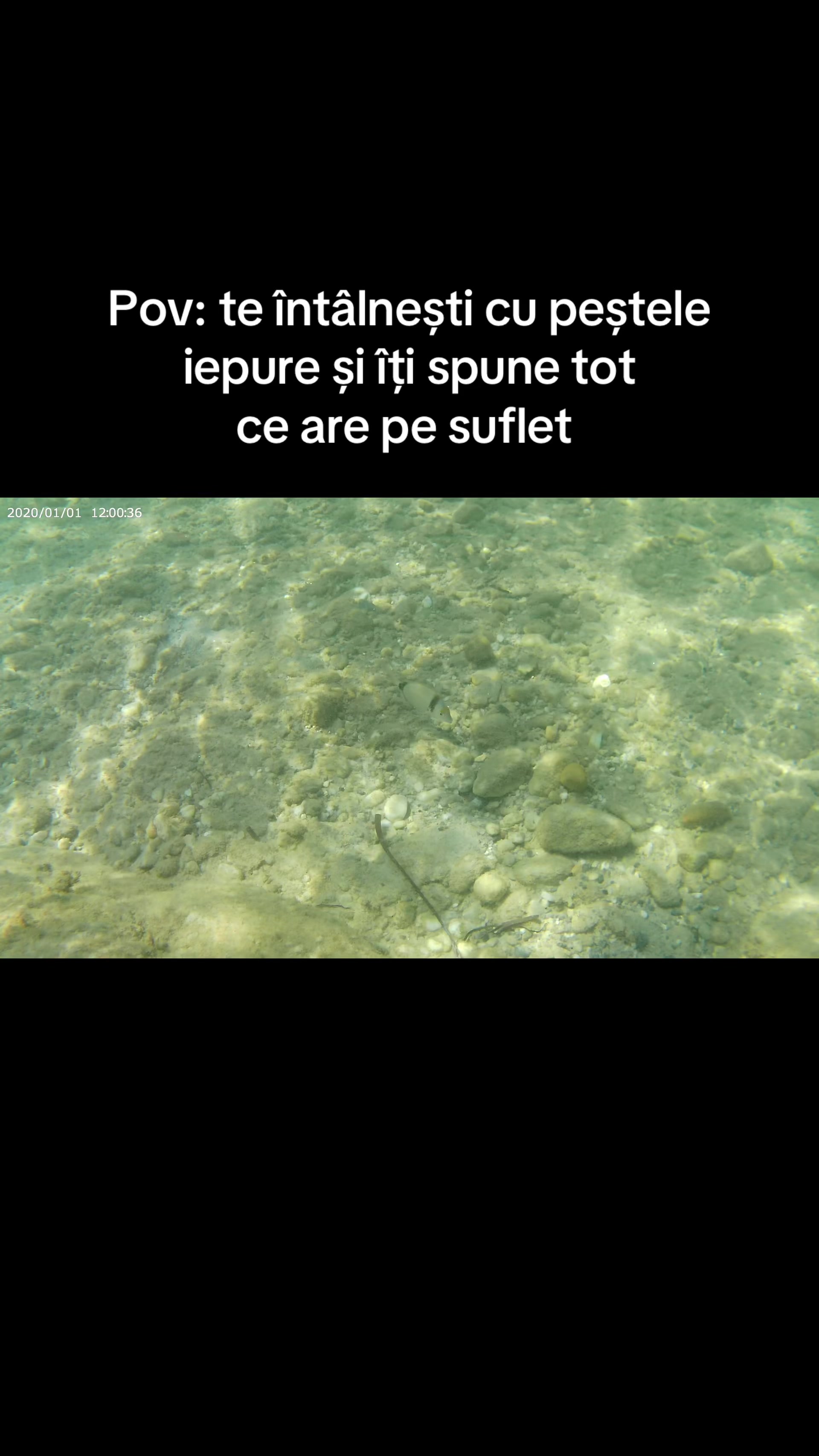 @Păcu