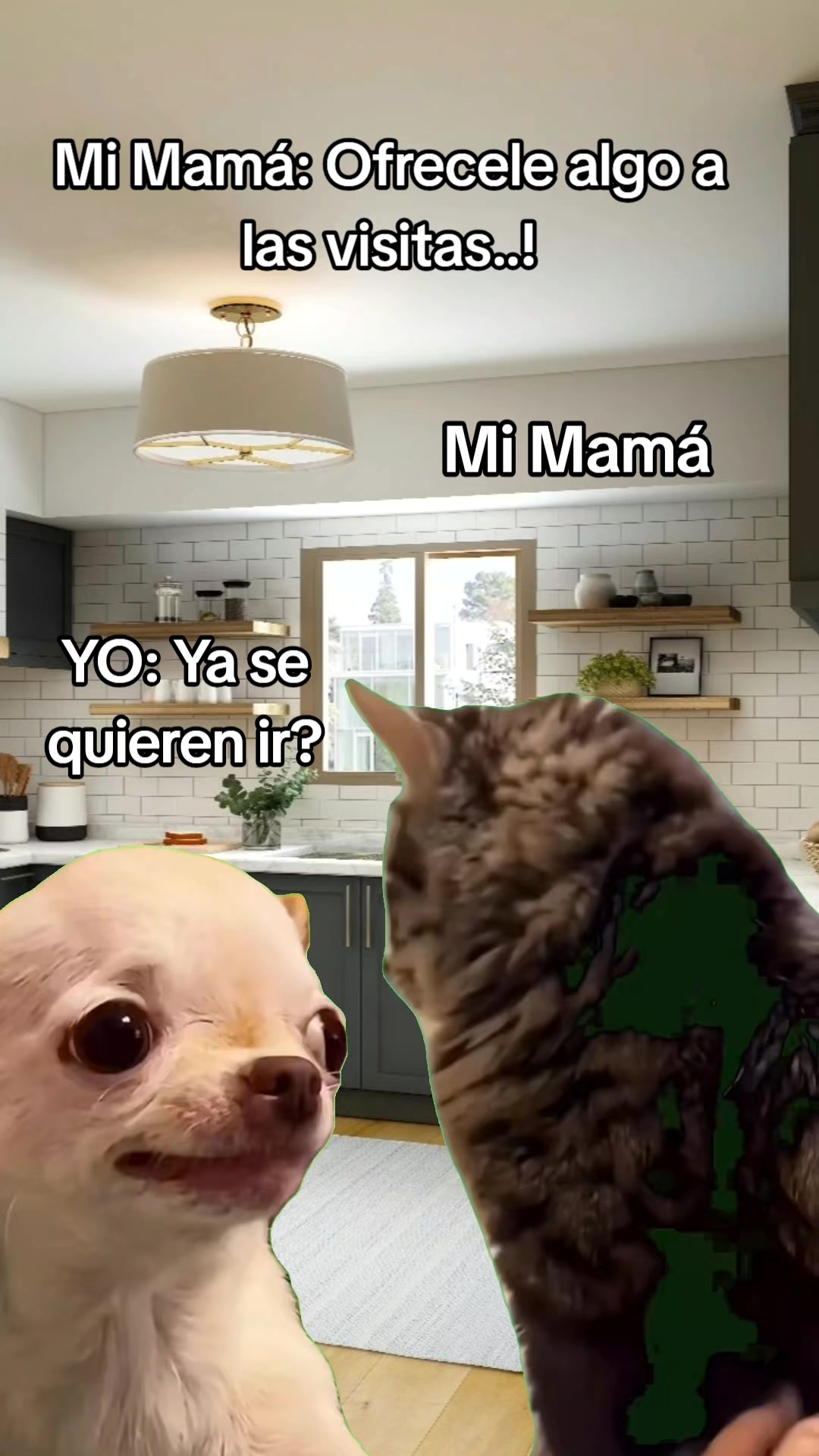 @Andrea Elizaneth