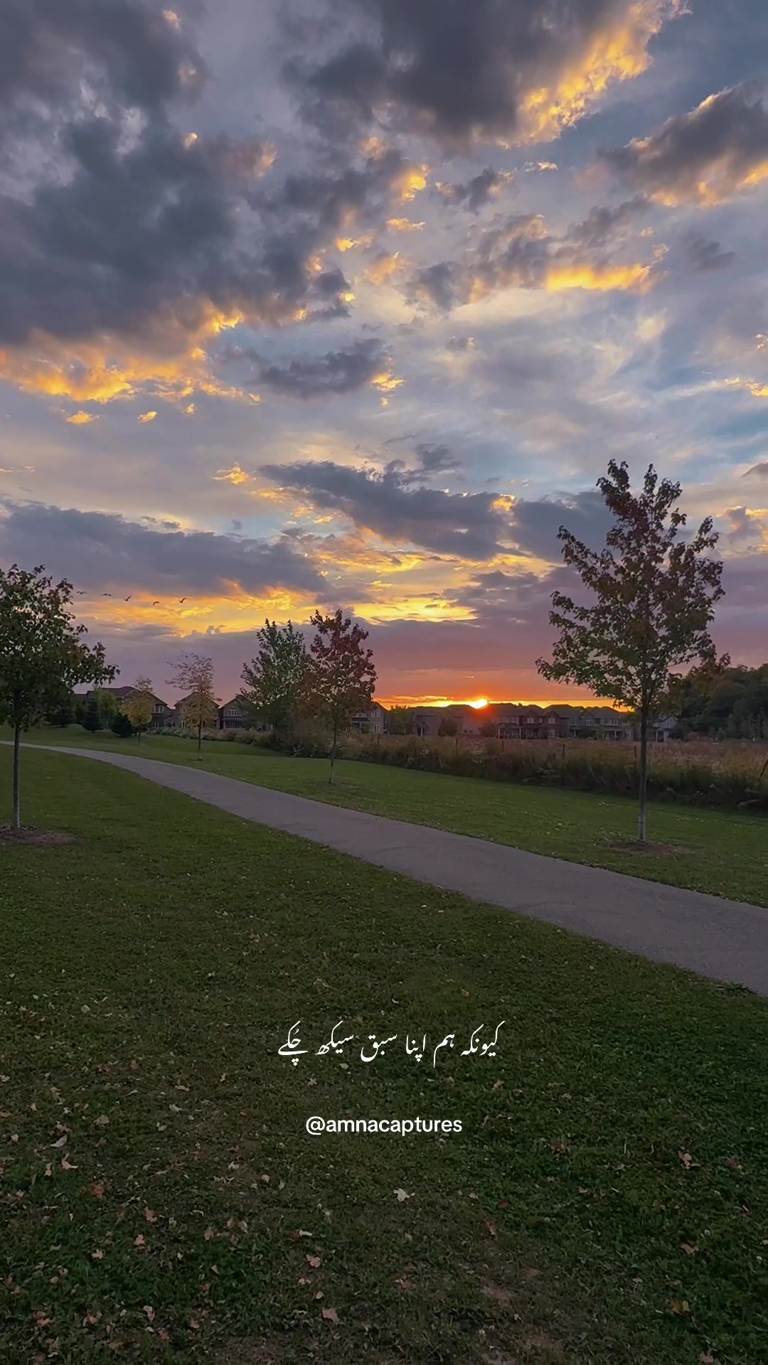 @Nature lover 🇨🇦