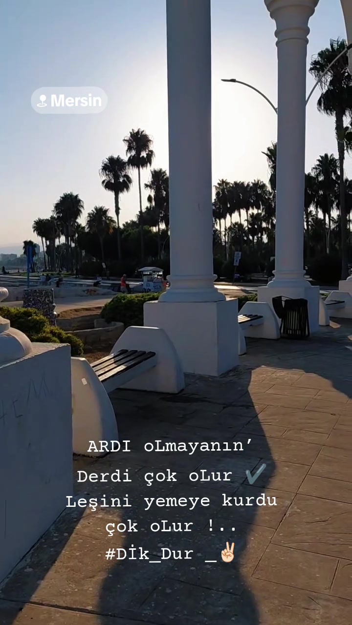 @tc.çerkeskızı