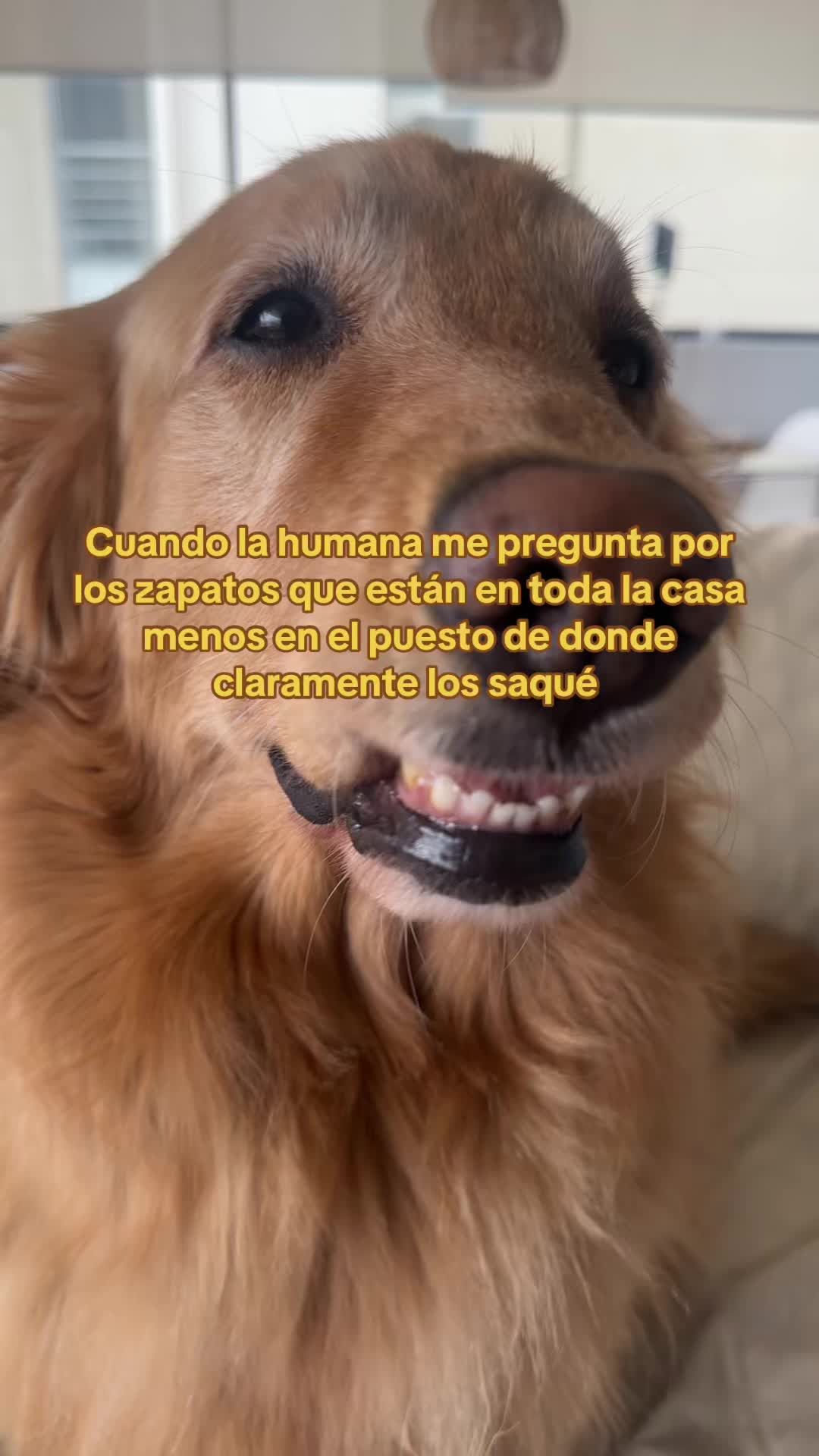 @tatianaplusnala