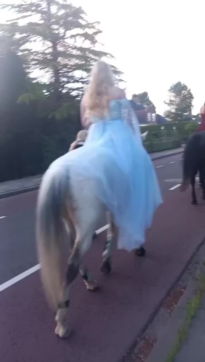@boerendochter🫶🏻