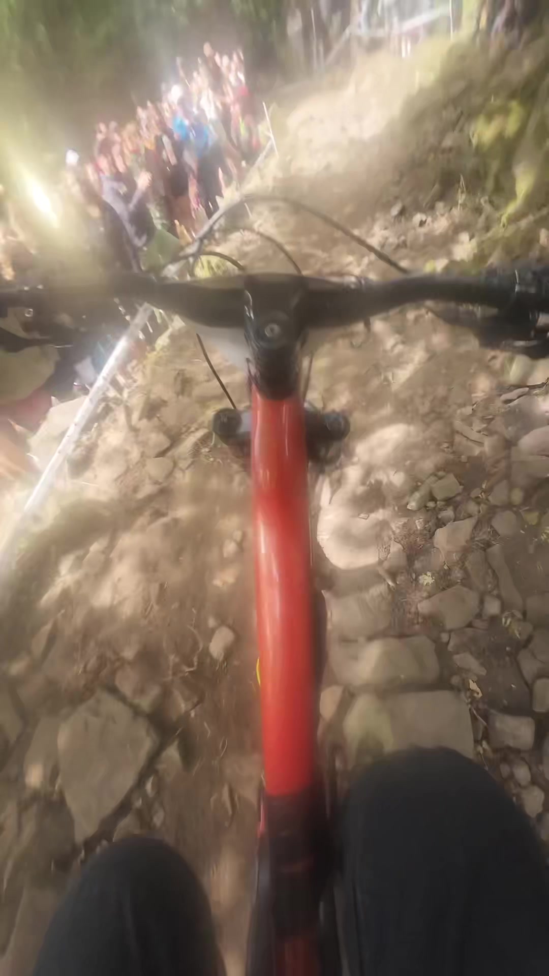 @🚲𝑫𝒂𝒊𝒔𝒚🚲