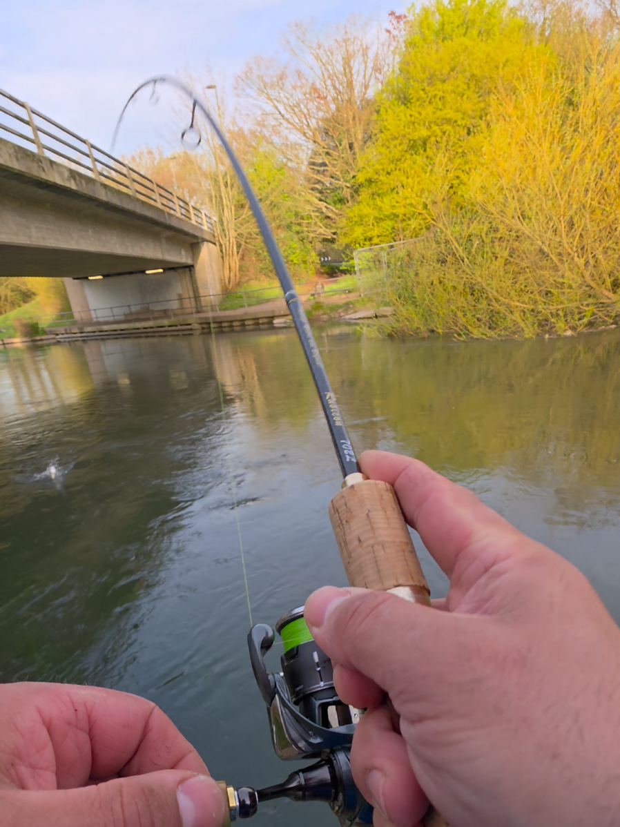 @BF Angler