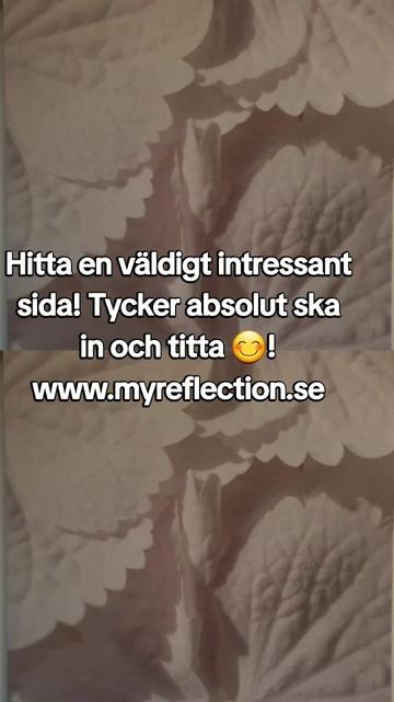 @KATSHA