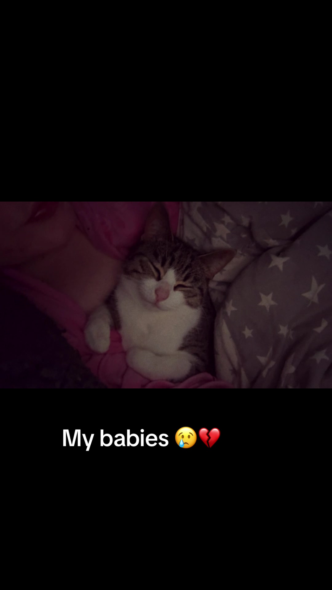 @Itz-cece