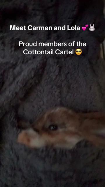@Kristinbridges7