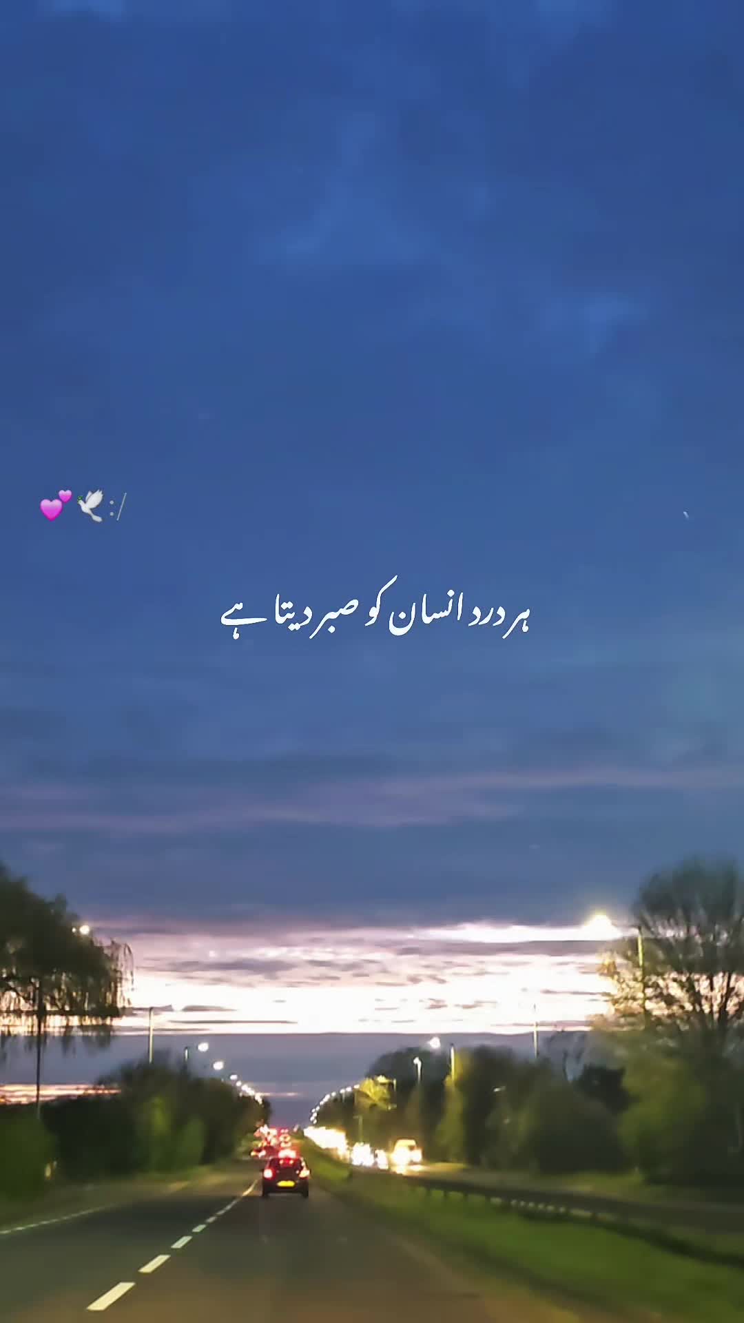 @🦋Aisha🦋