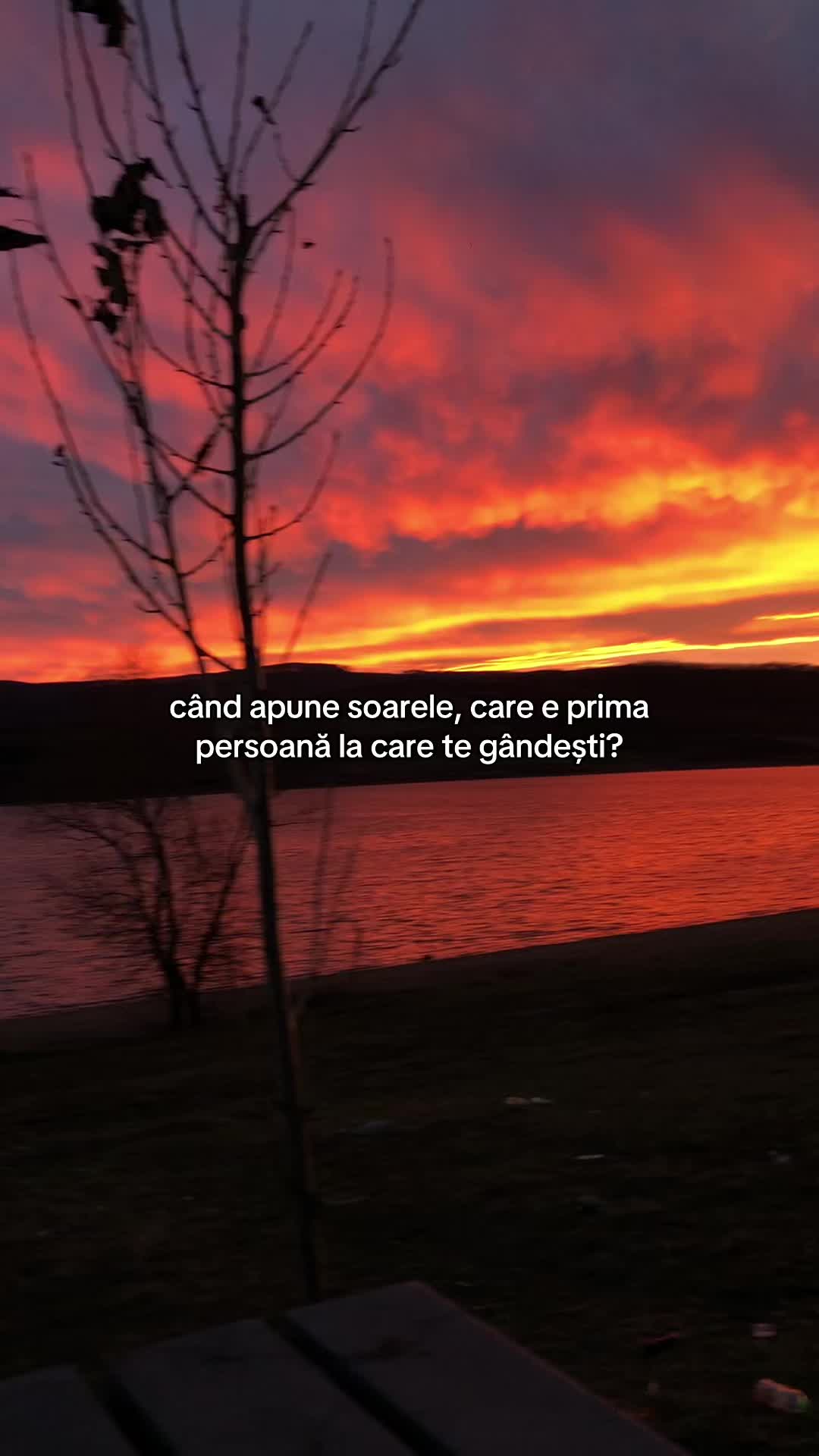 @Lumea Artiștilor