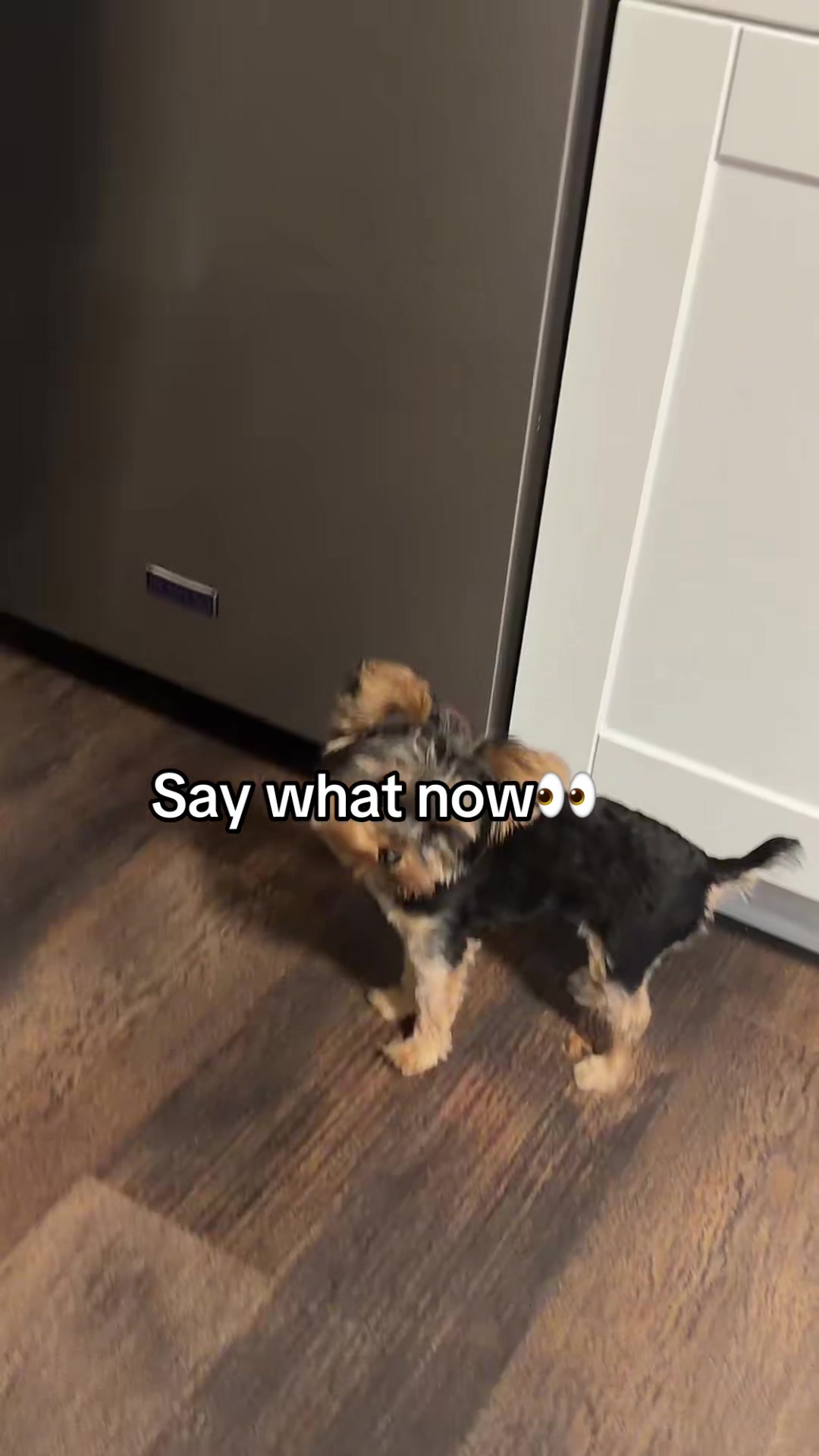 @trey_da_builder_