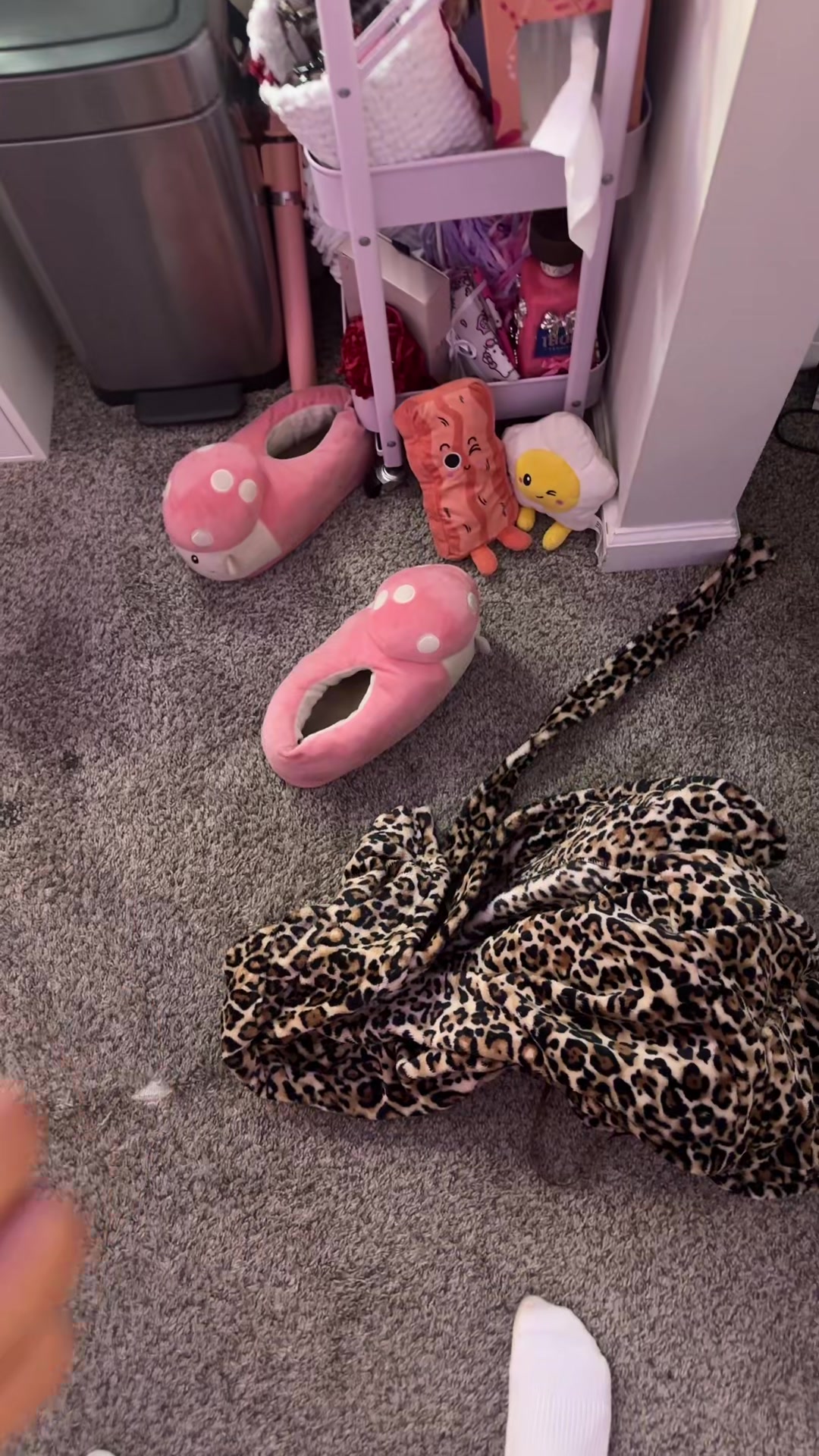 @Shanaya ❤︎
