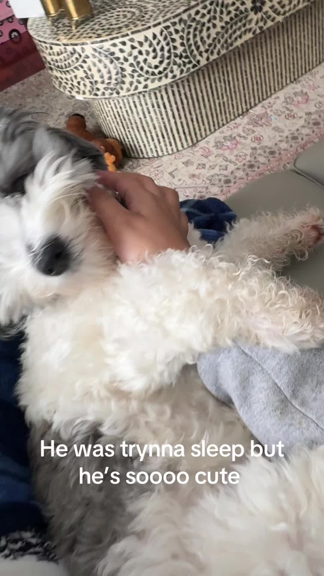 @™️