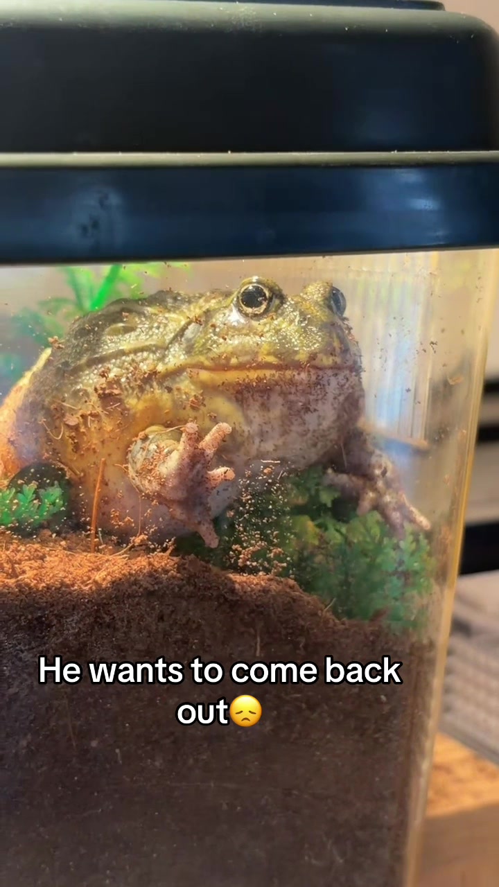 @Ella
