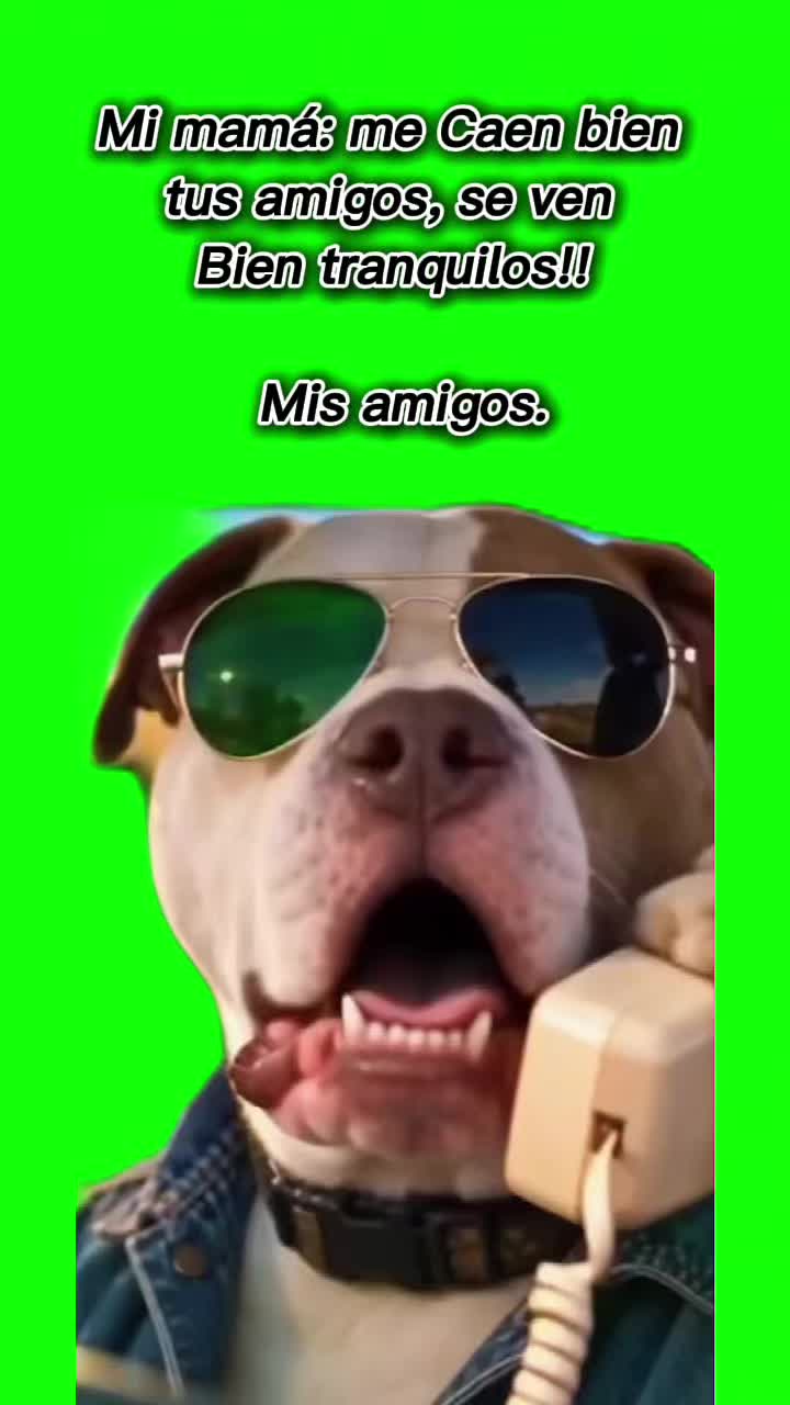 @JIbarra
