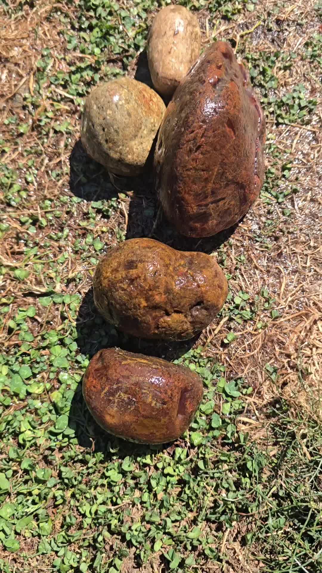 @Agate Magnet