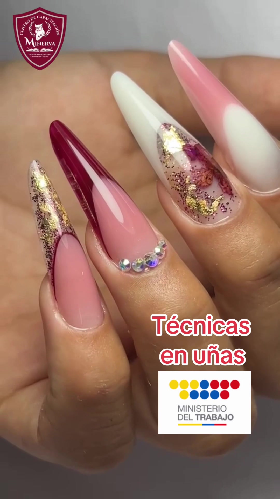 @minervamilagroguayaquil