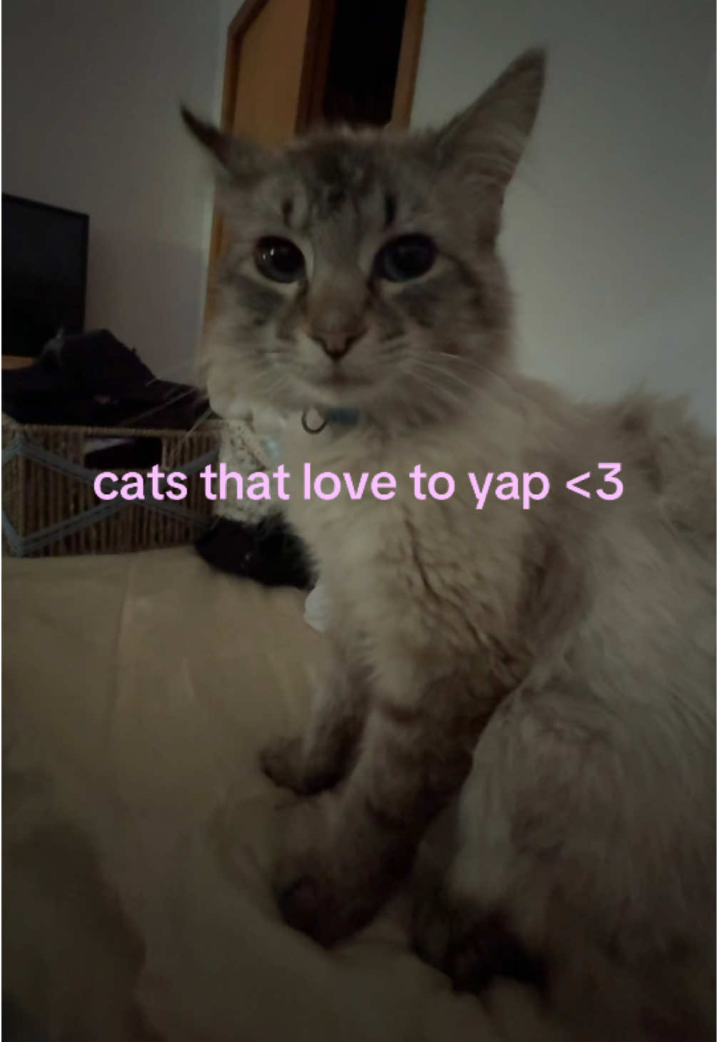 @KARINA ★