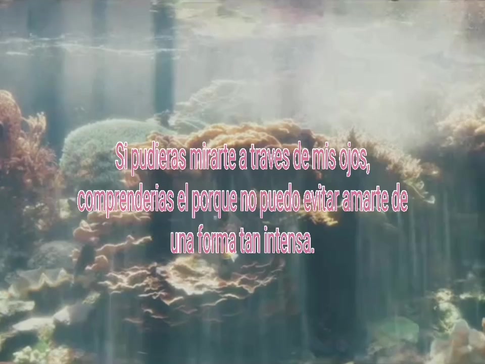 @娀꯭ ⿻ 𝐘⃜𖼄꯭ۖ𝐘̷̸𖼄 ⃨