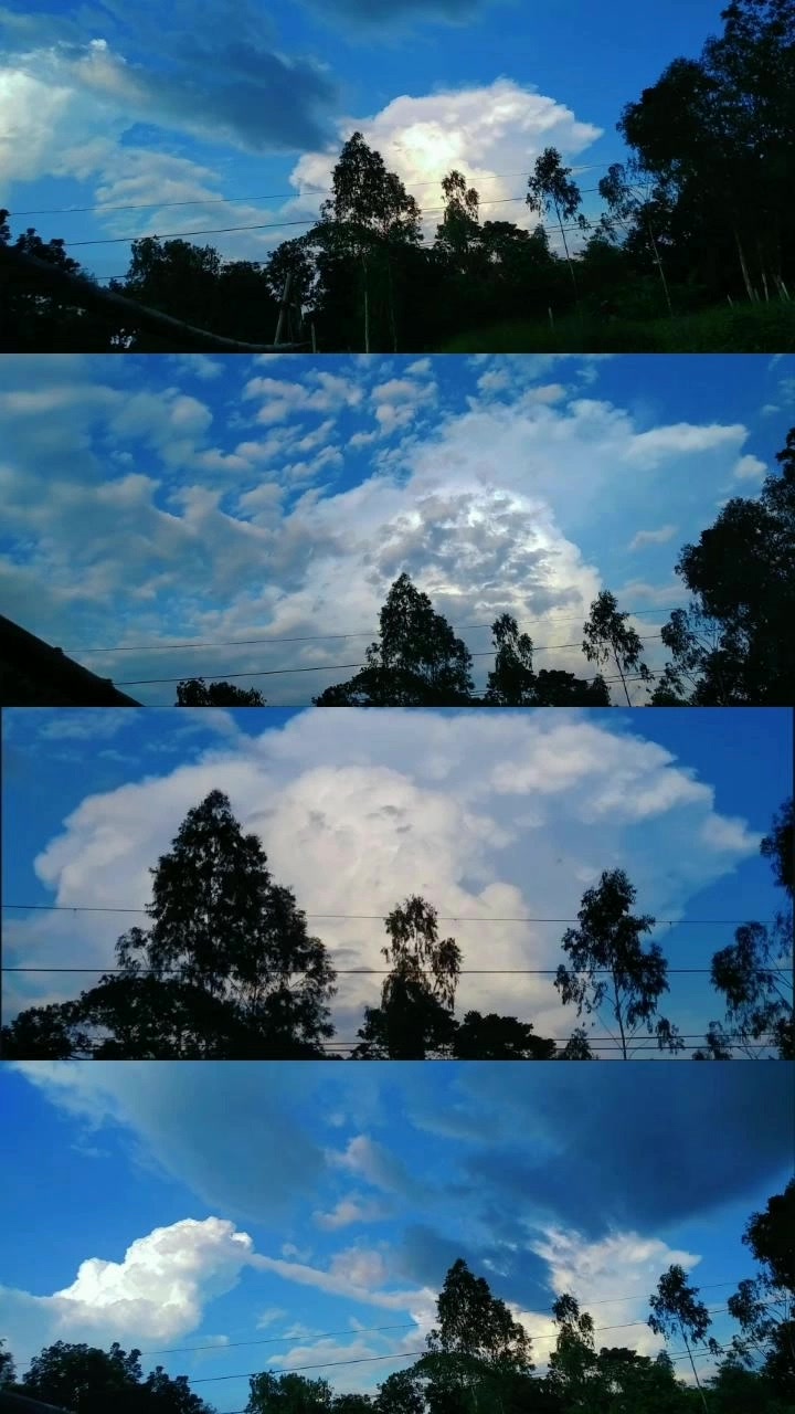 @Farzana❤️🕊️