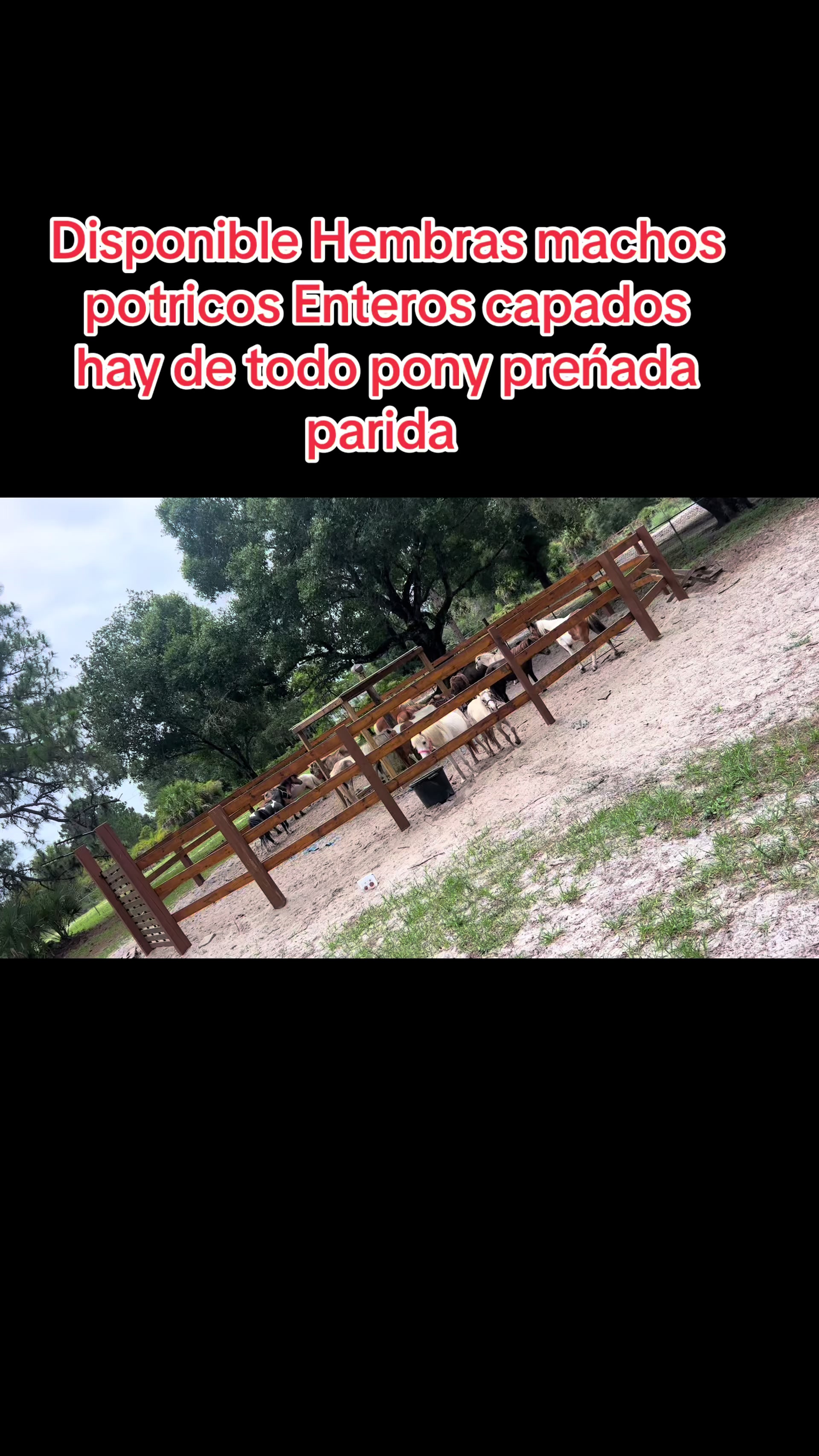 @Danny