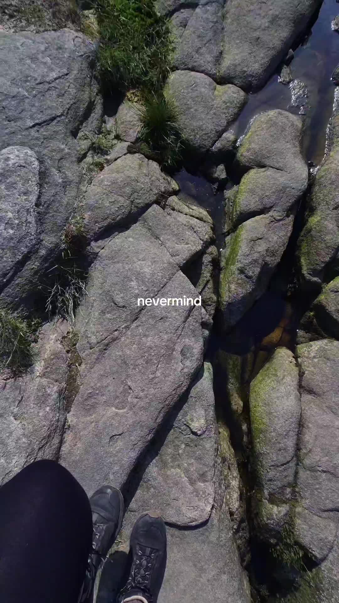 @ᨒ↟𖠰↟WhereLauraWanders↟𖠰↟ᨒ